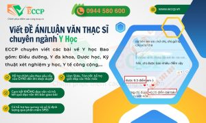 Viết Đề Án/Luận Văn Thạc Sĩ Chuyên Ngành Y Học - ECCP Uy Tín, Chất Lượng