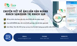 Chuyên Viết Đề Án, Luận Văn Ngành Khách Sạn/Quản Trị Khách Sạn – Cam Kết Uy Tín, Chất Lượng